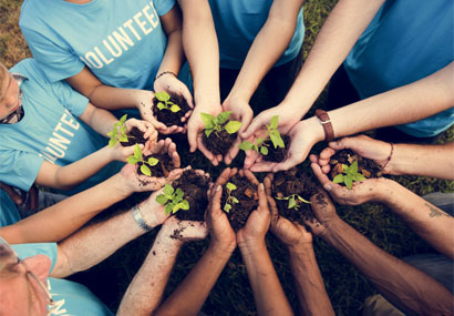 Holistic Health Programs
